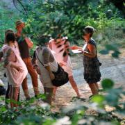 Interview dans les bois